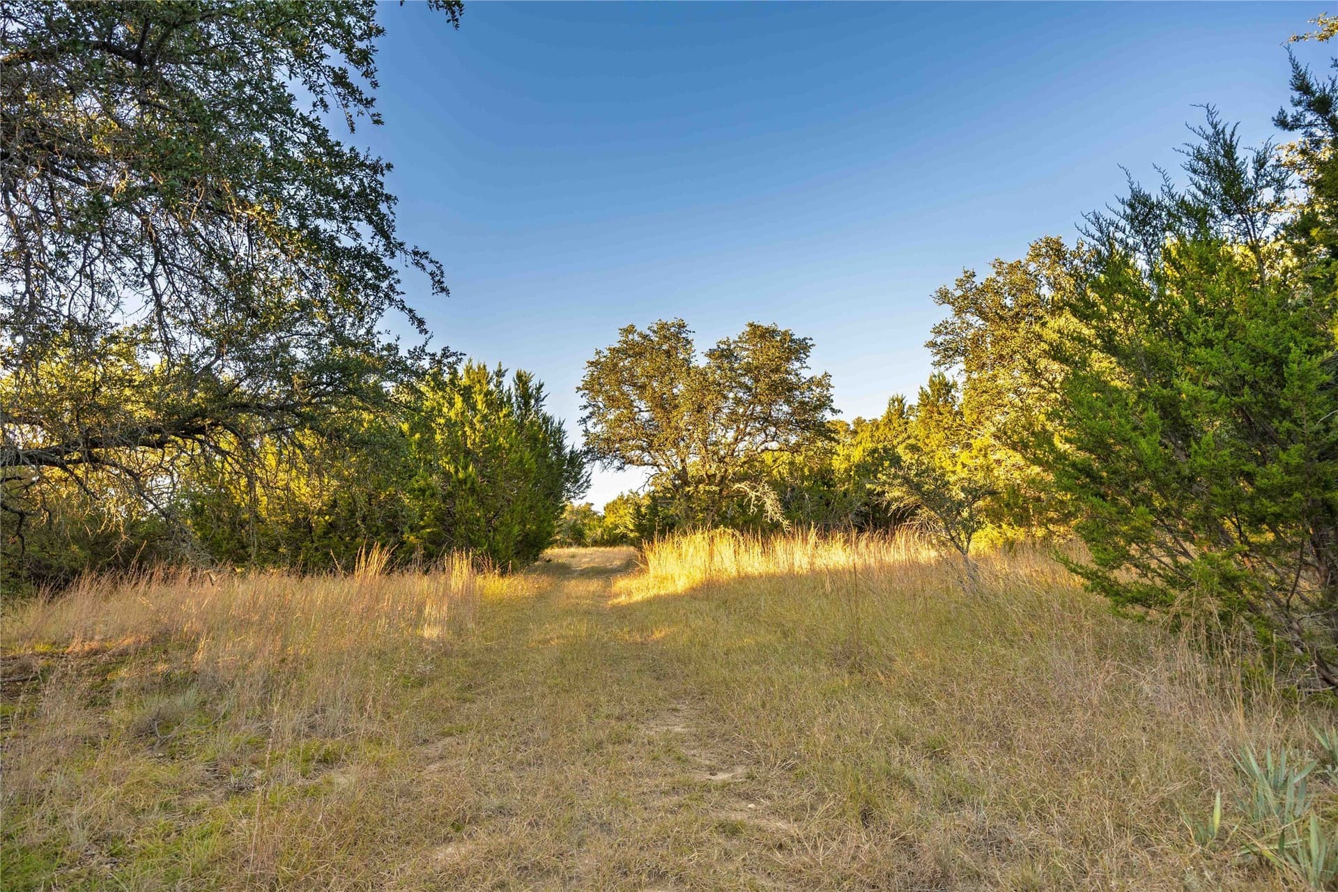 257 acres in Comanche County - photo 31