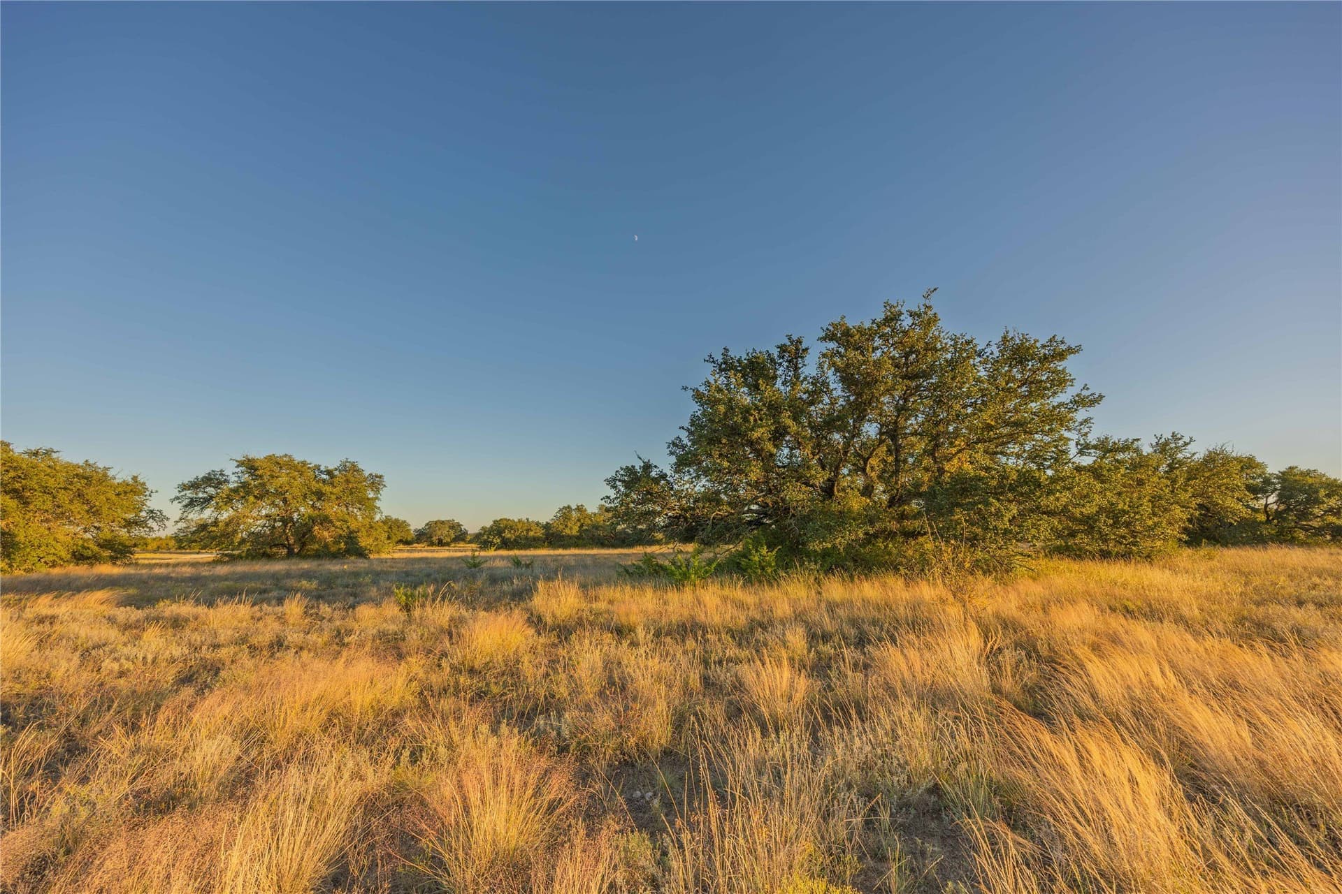 257 acres in Comanche County - photo 35