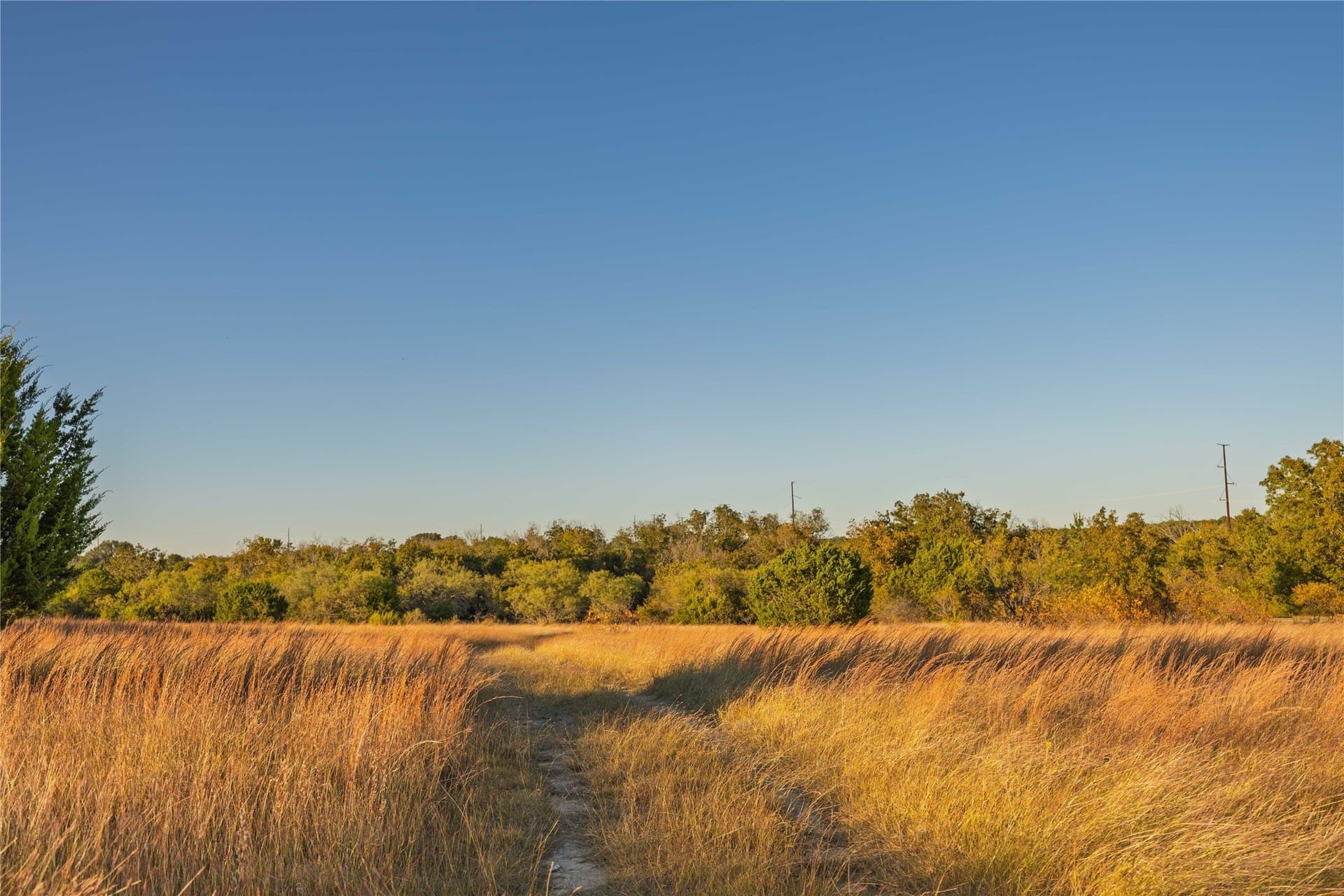 257 acres in Comanche County - photo 29