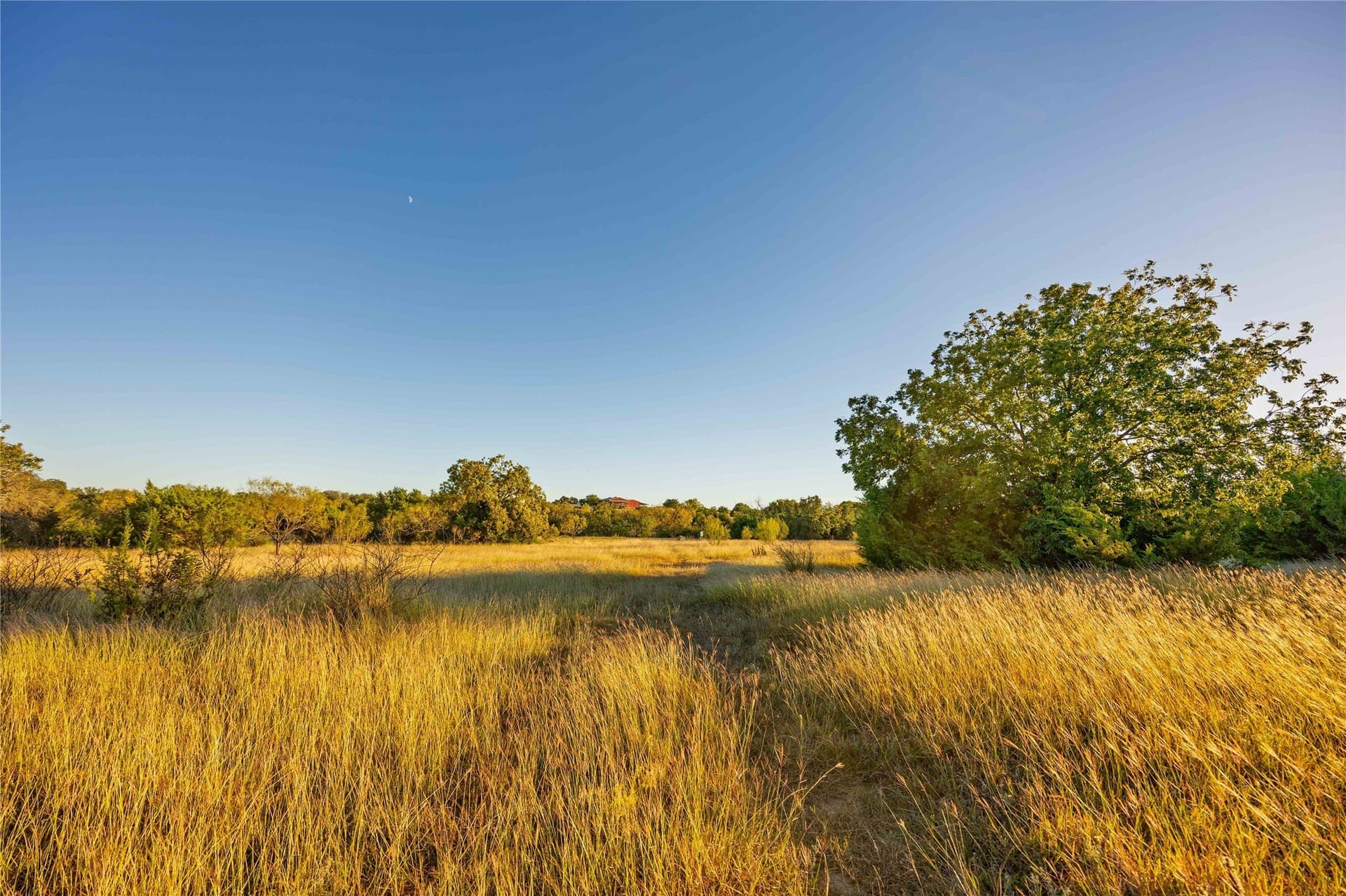 257 acres in Comanche County - photo 27