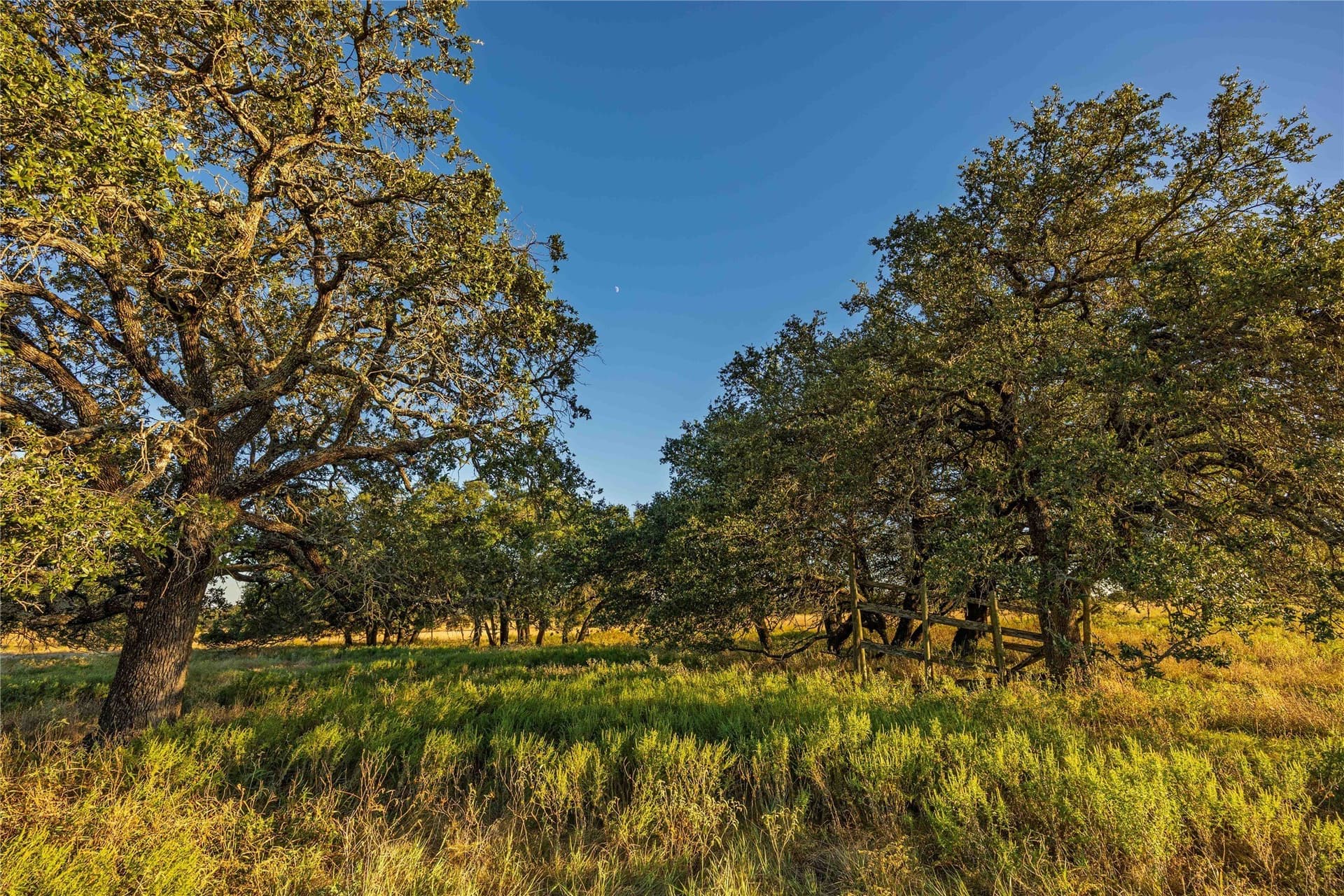 257 acres in Comanche County featured view
