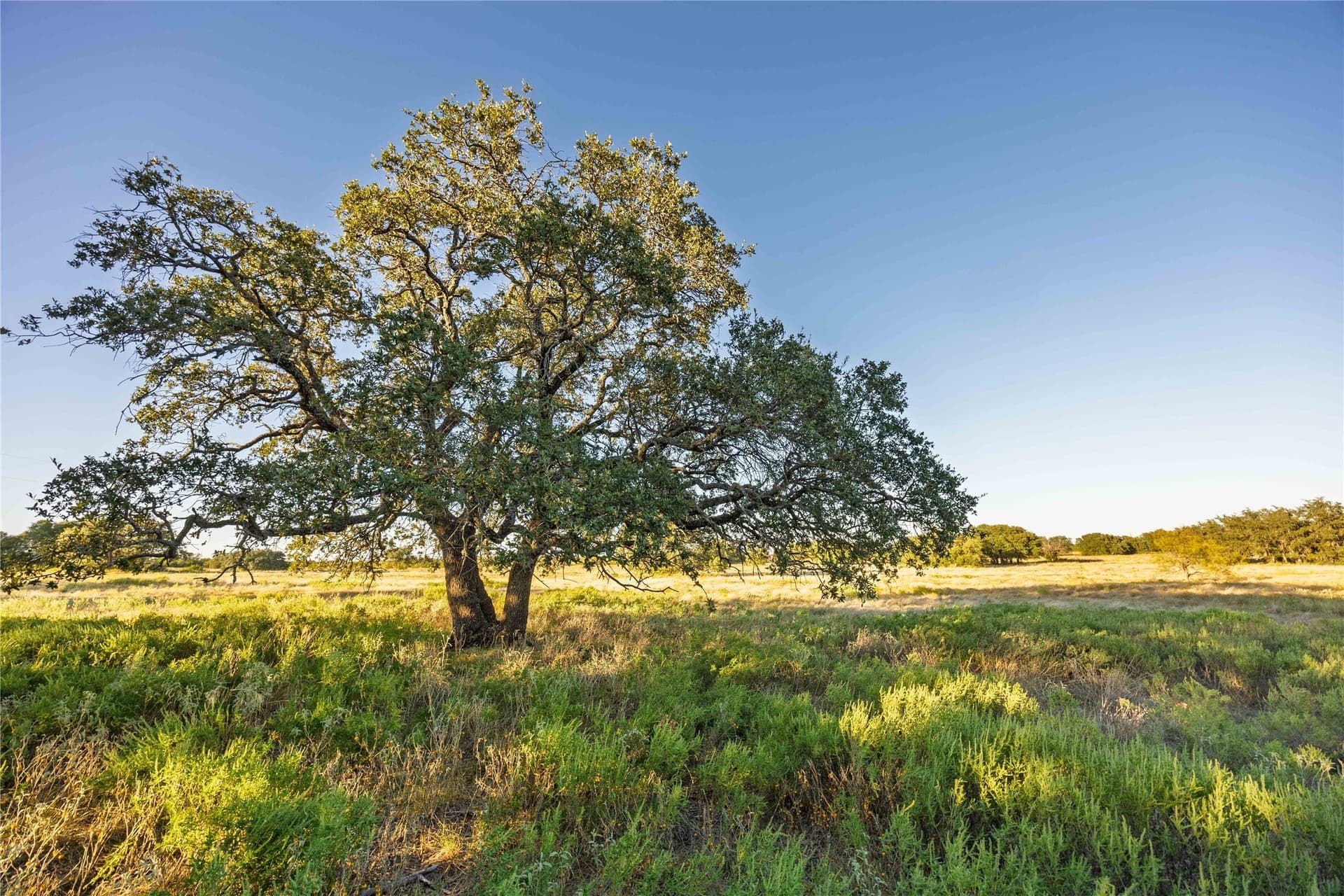 257 acres in Comanche County - photo 28
