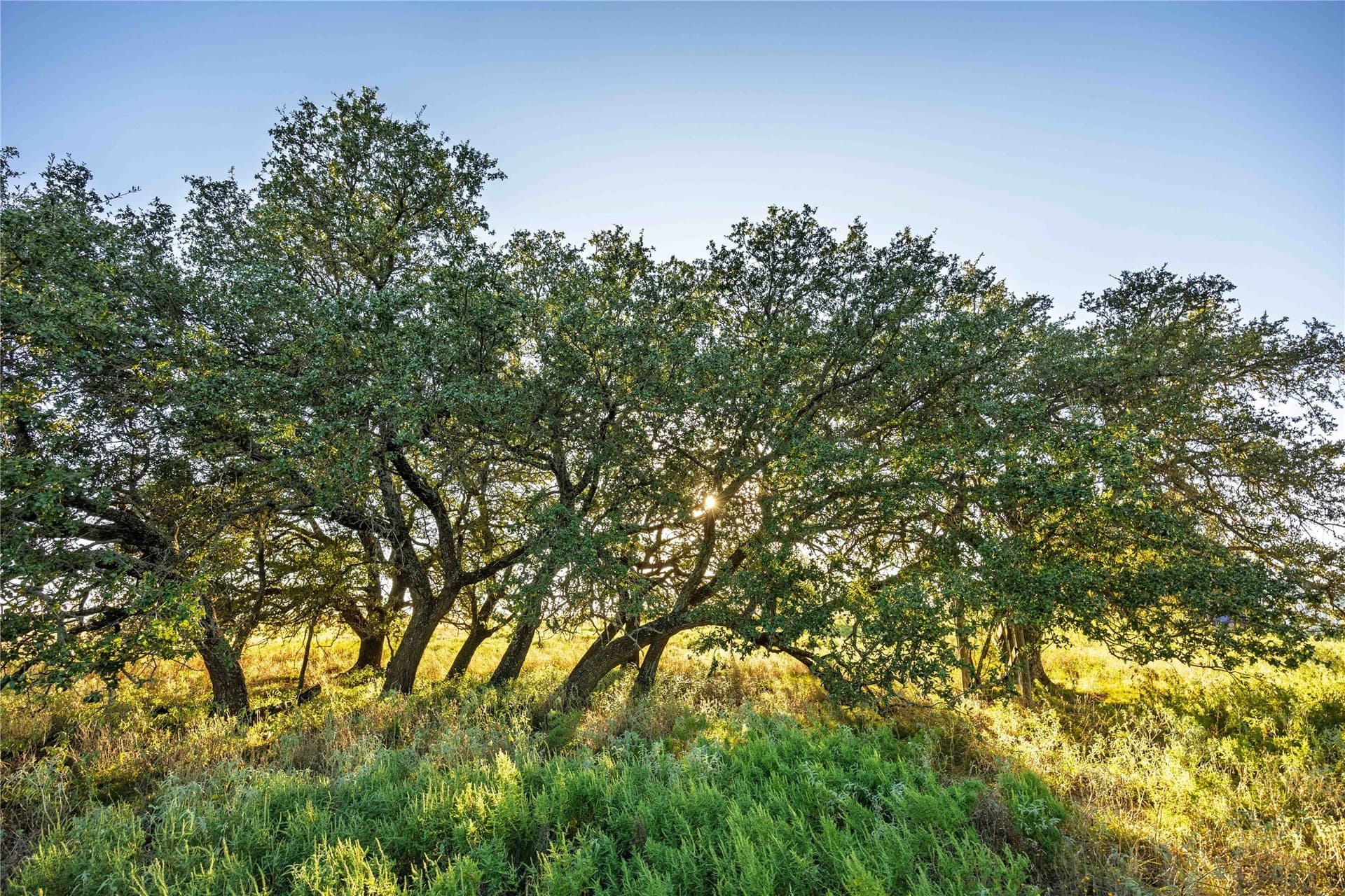 257 acres in Comanche County - photo 26