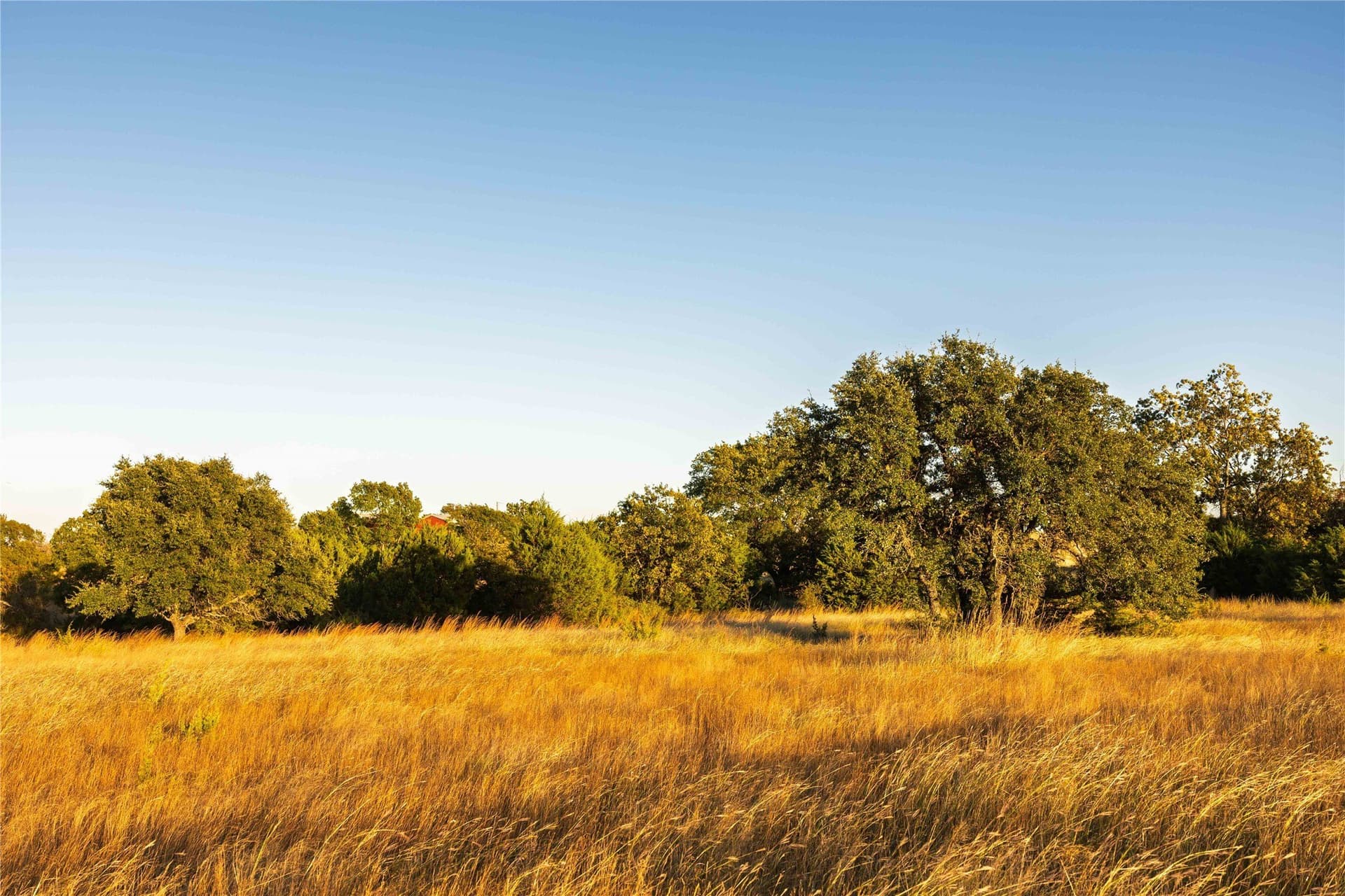 257 acres in Comanche County - photo 32