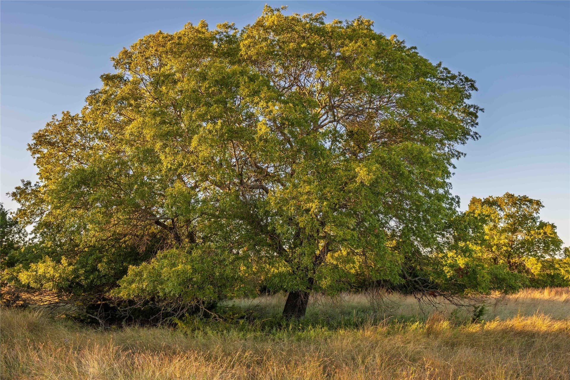 257 acres in Comanche County - photo 34