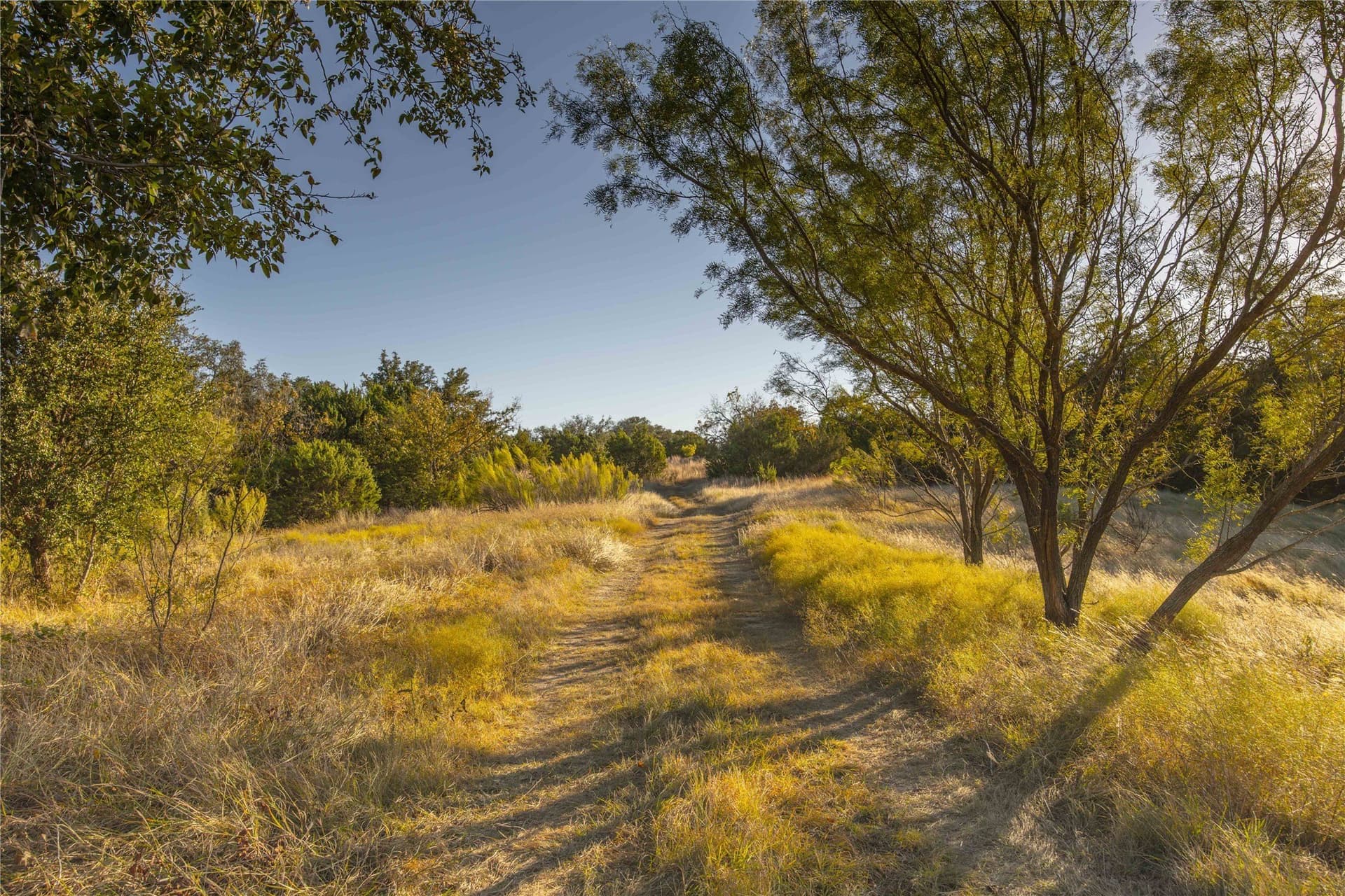257 acres in Comanche County - photo 23