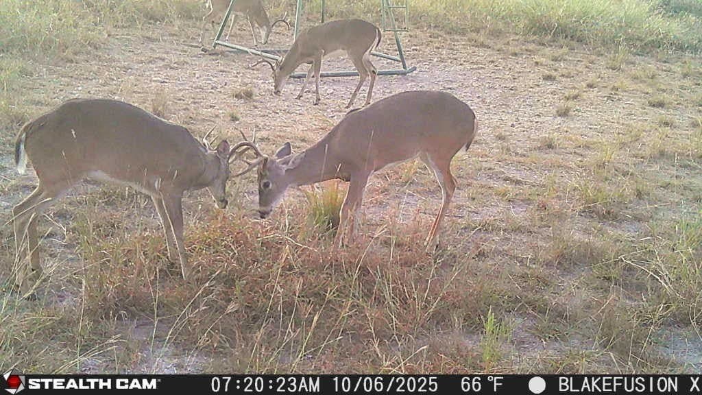 257 acres in Comanche County - photo 39