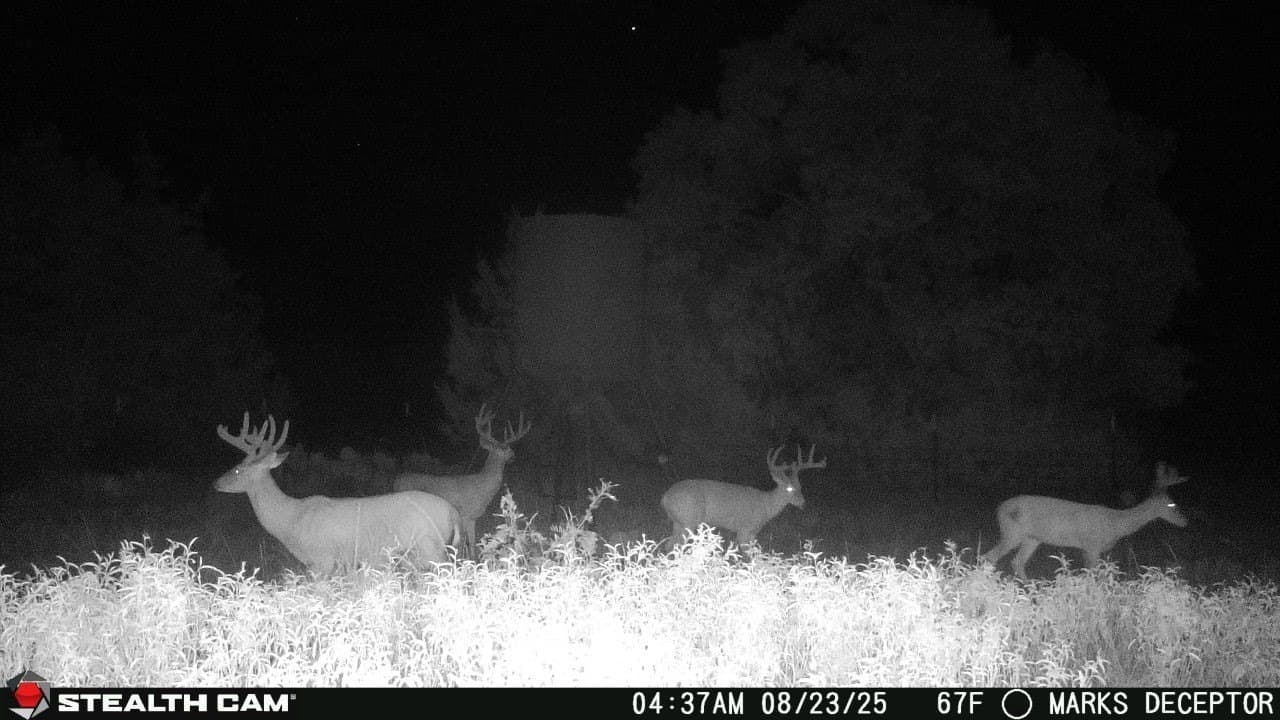 257 acres in Comanche County - photo 40