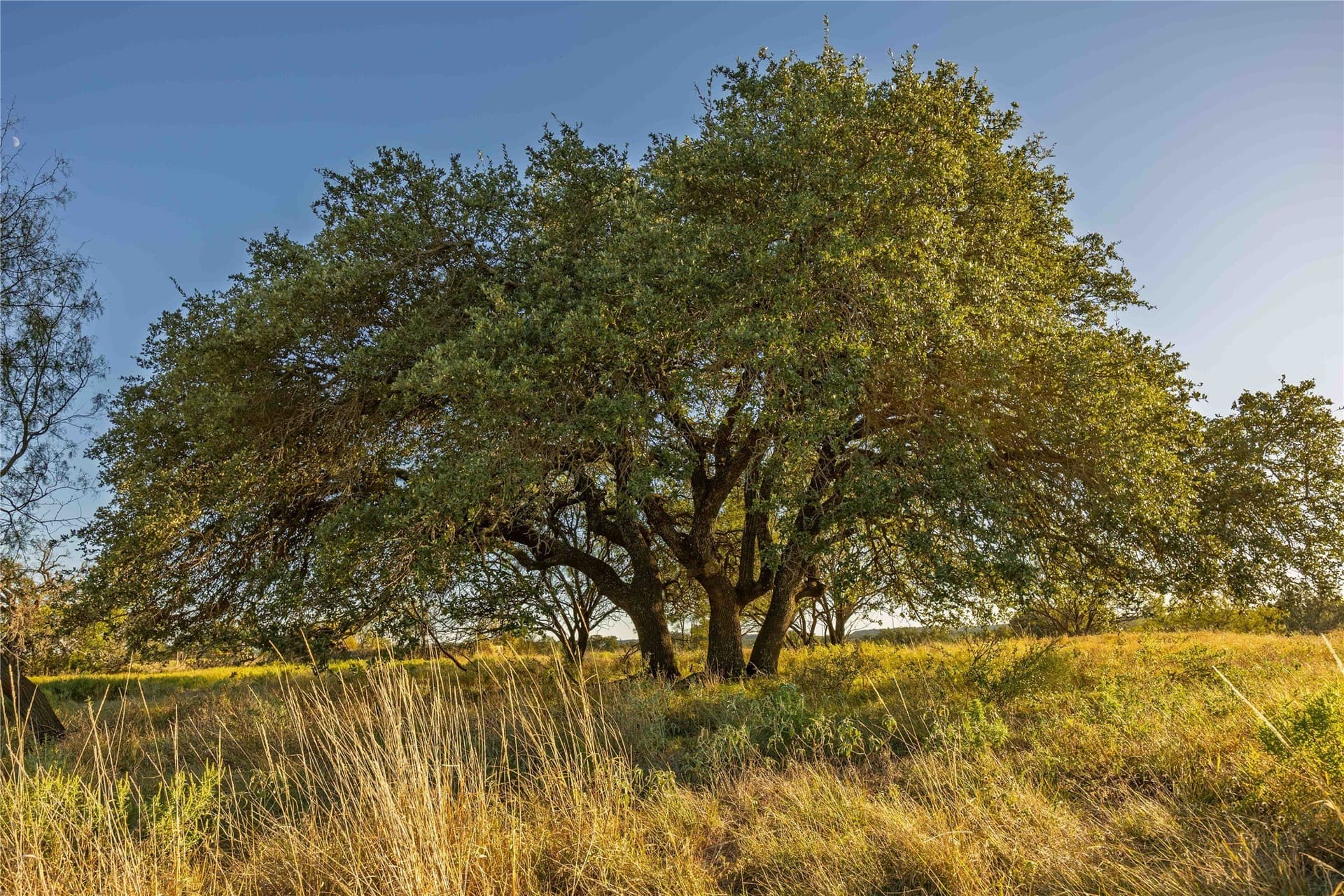 257 acres in Comanche County - photo 25