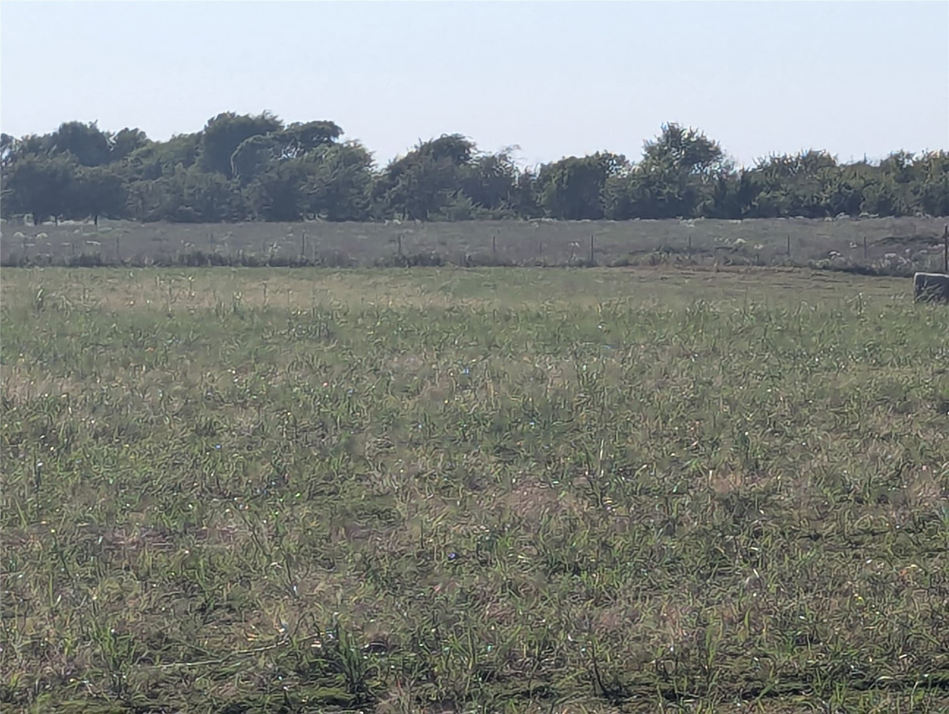 10.09 acres in Collin County - photo 8