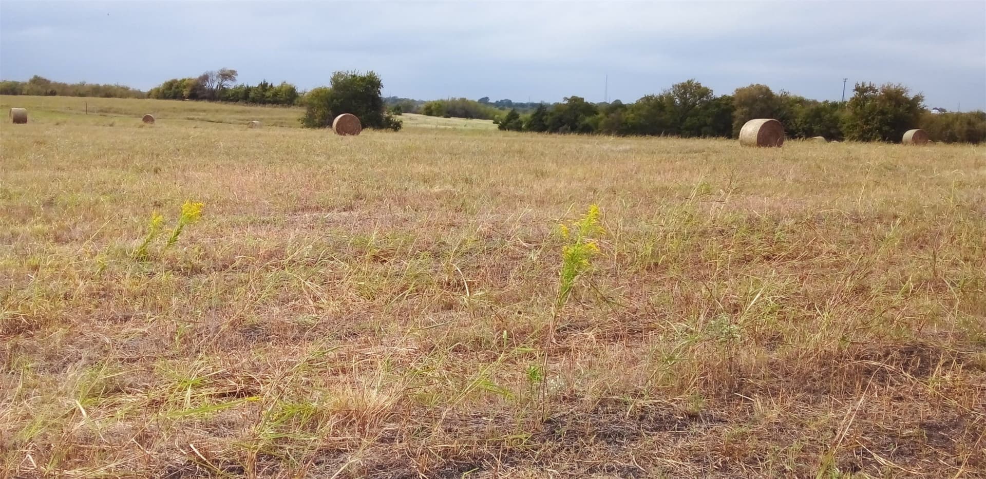10.09 acres in Collin County - photo 4