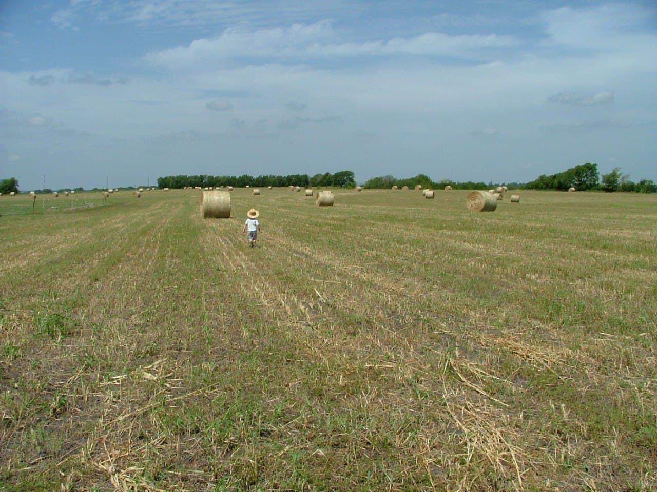 10.09 acres in Collin County - photo 2