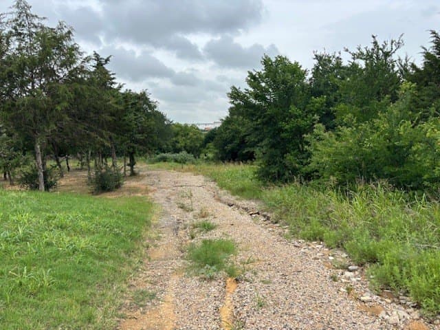 0.14 acres in Dallas County - photo 3