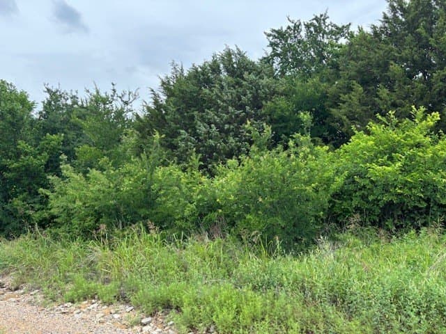 0.14 acres in Dallas County - photo 2