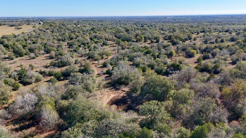 668 acres in Gonzales County - photo 25