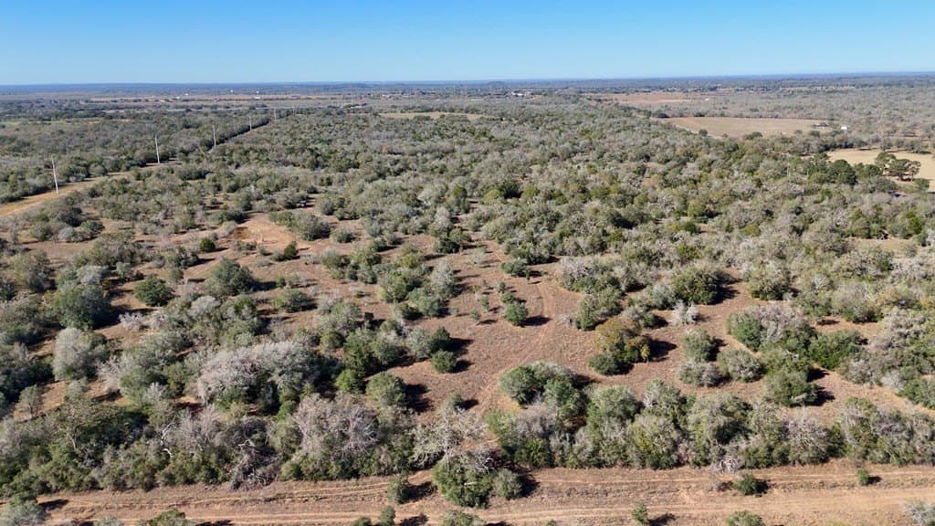 668 acres in Gonzales County - photo 33