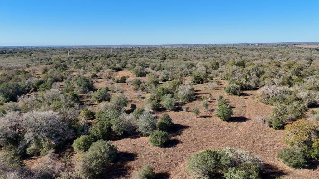 668 acres in Gonzales County - photo 30
