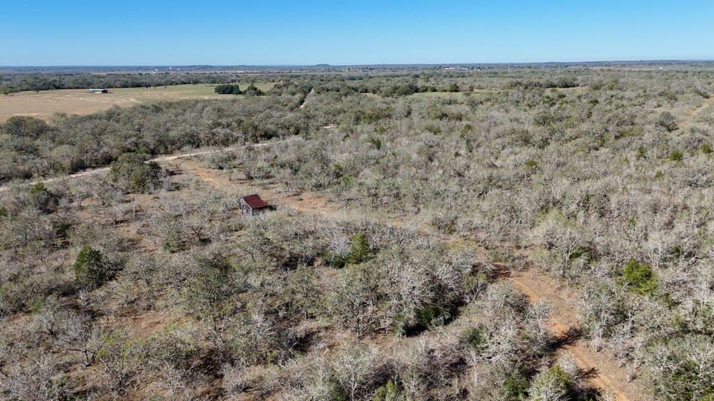 668 acres in Gonzales County - photo 40