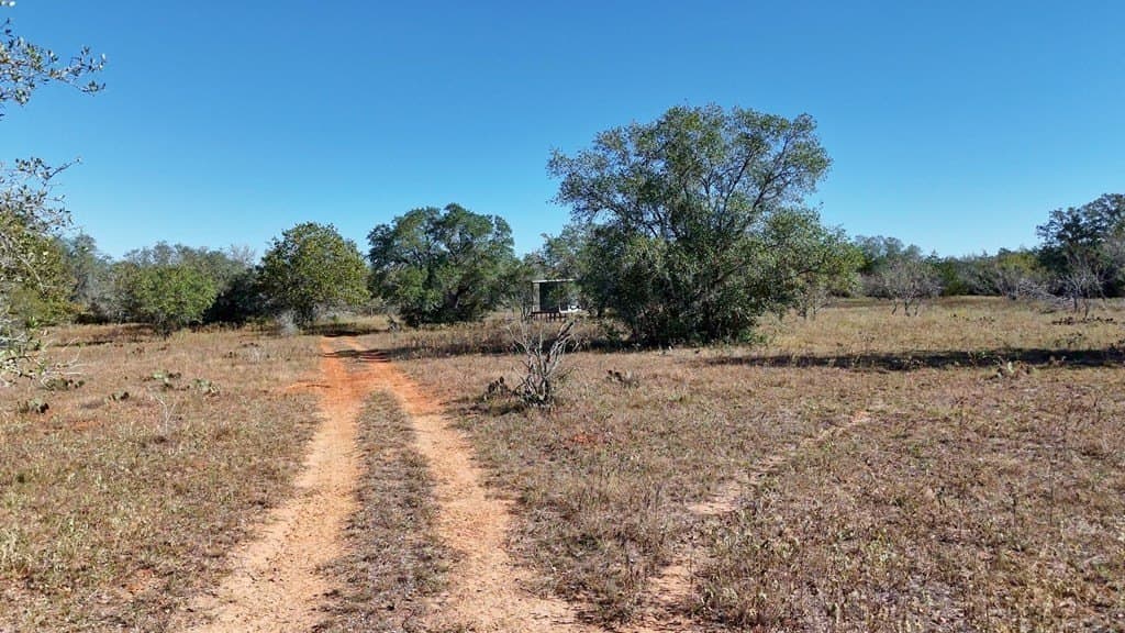 668 acres in Gonzales County - photo 35