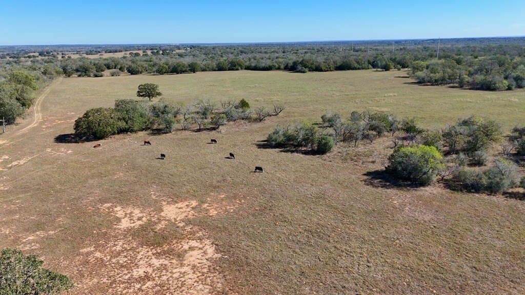 668 acres in Gonzales County - photo 14