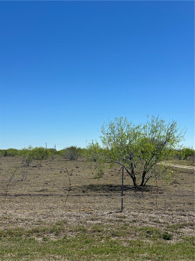 15 acres in San Patricio County gallery image 3