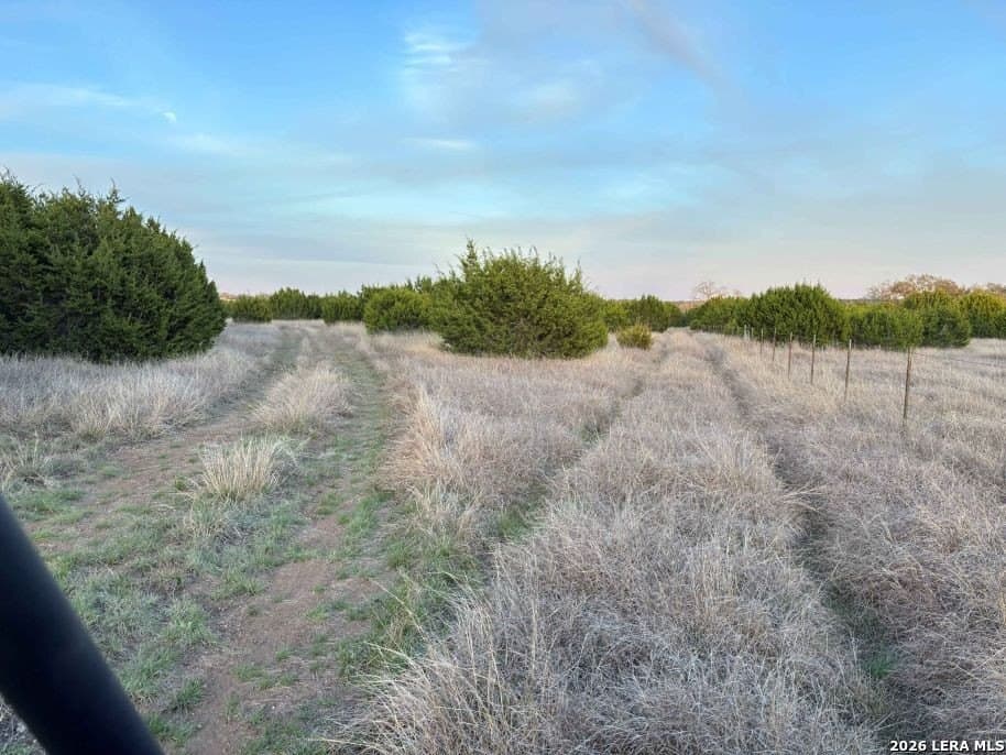 20 acres in Gillespie County - photo 8