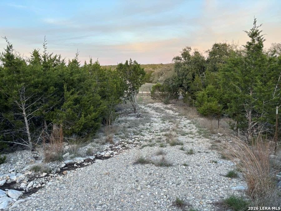 20 acres in Gillespie County - photo 18