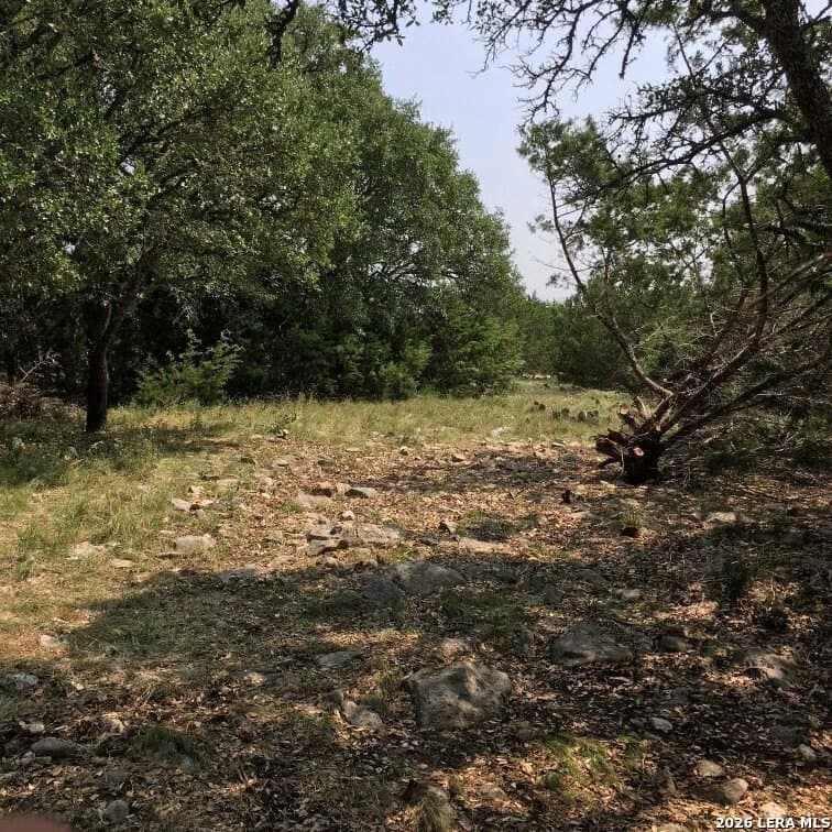 20 acres in Gillespie County - photo 17