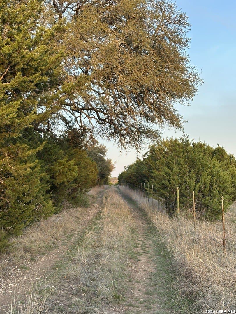 20 acres in Gillespie County - photo 9