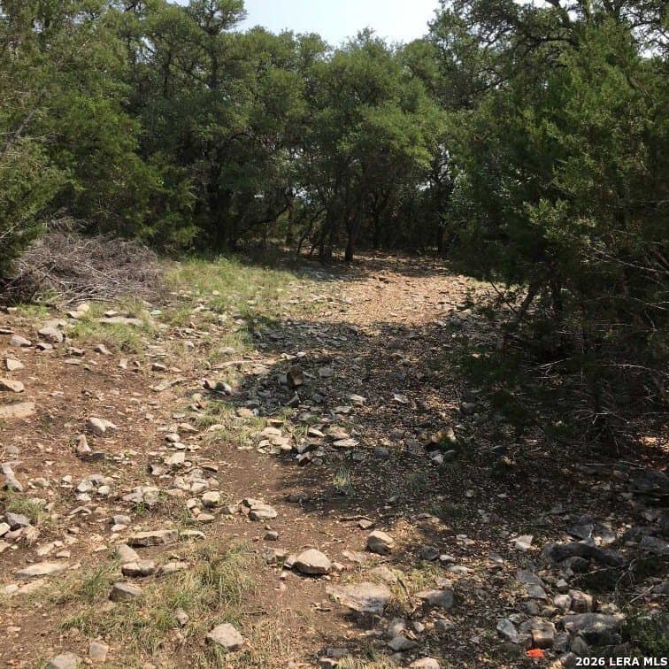 20 acres in Gillespie County - photo 15