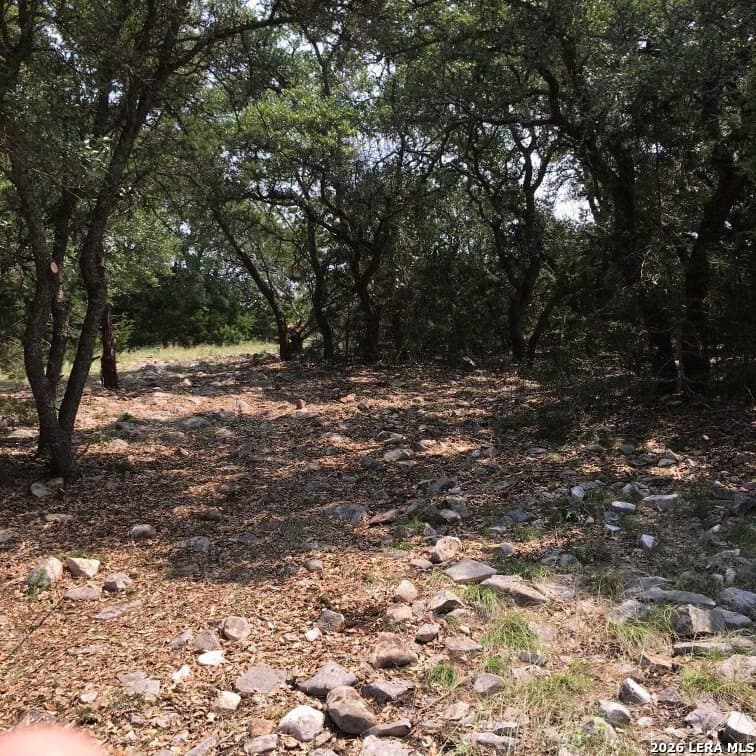 20 acres in Gillespie County - photo 16