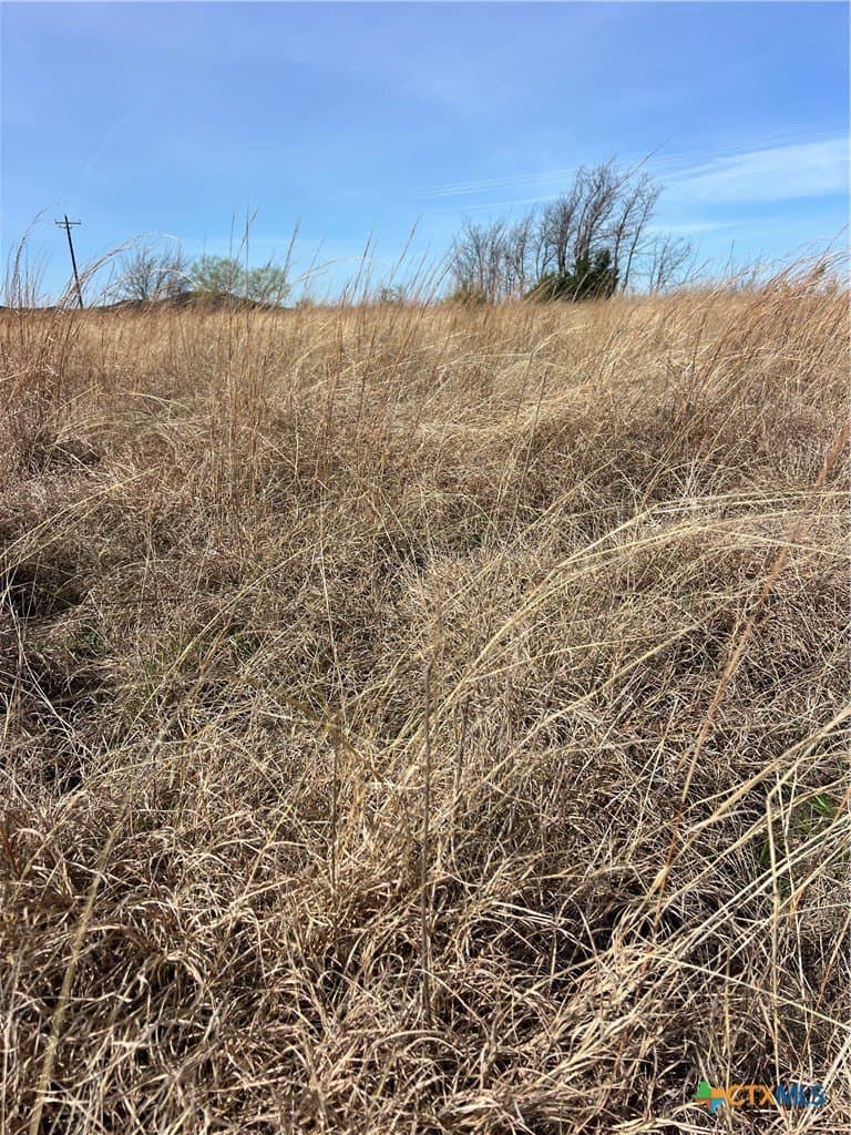 2.43 acres in Coryell County - photo 8