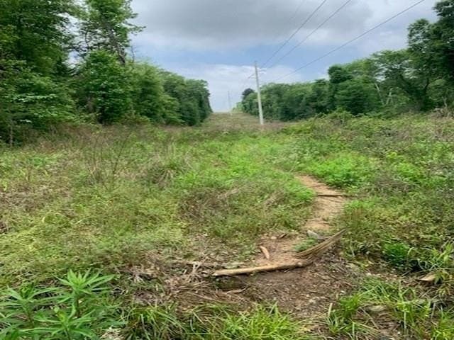 120.68 acres in Smith County featured view