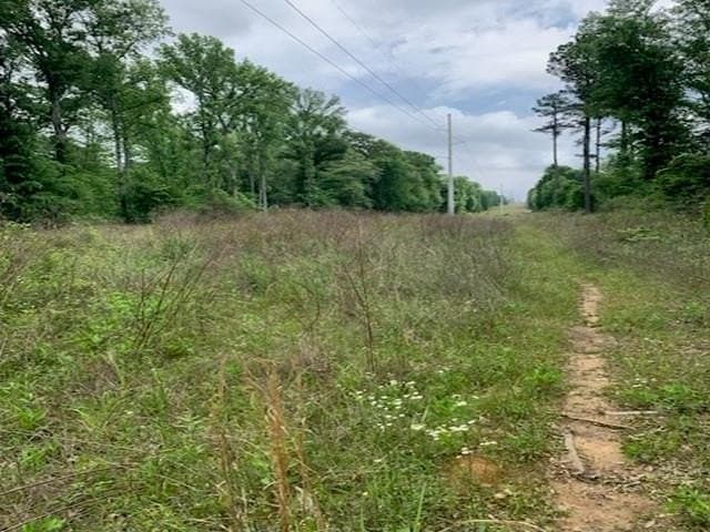 120.68 acres in Smith County gallery image 4