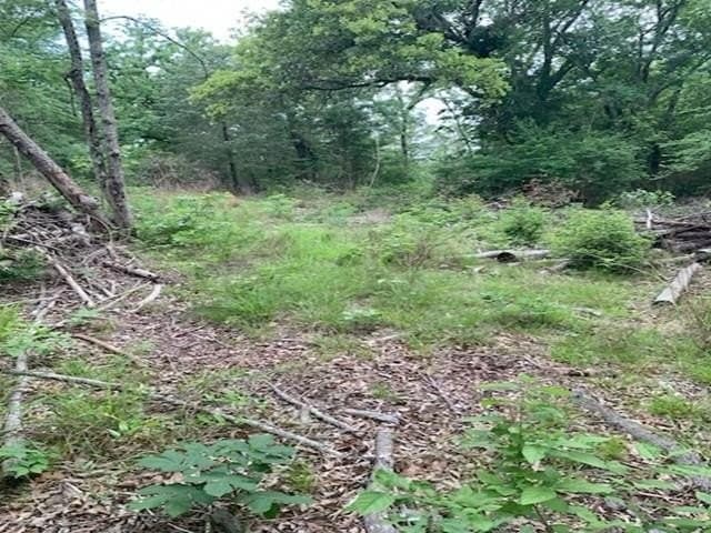 120.68 acres in Smith County gallery image 3