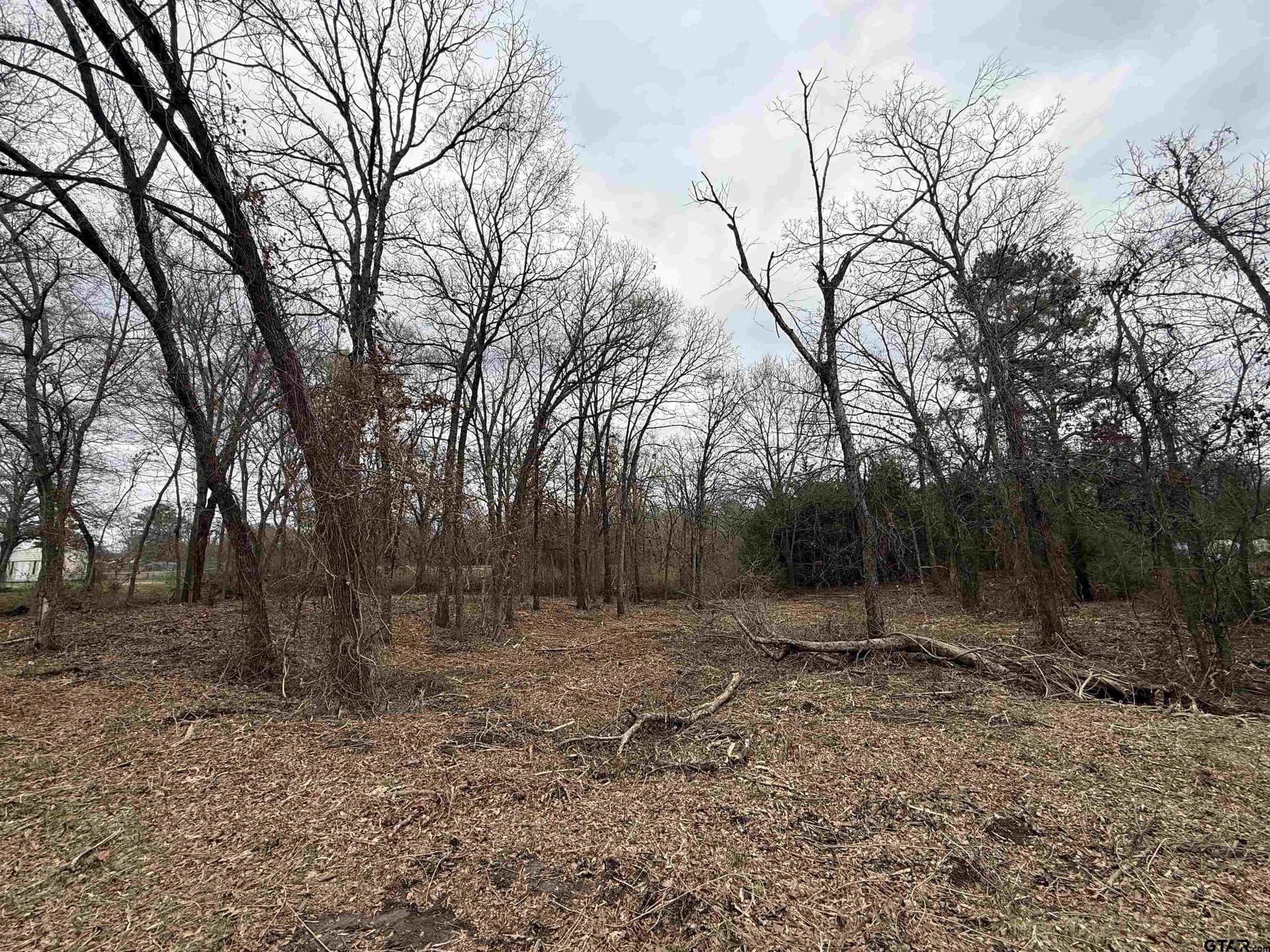0.25 acres in Van Zandt County - photo 6
