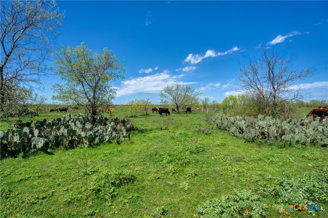 686.04 acres in Lampasas County - photo 24