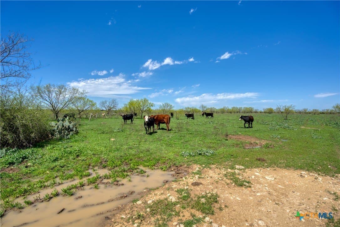 686.04 acres in Lampasas County - photo 25