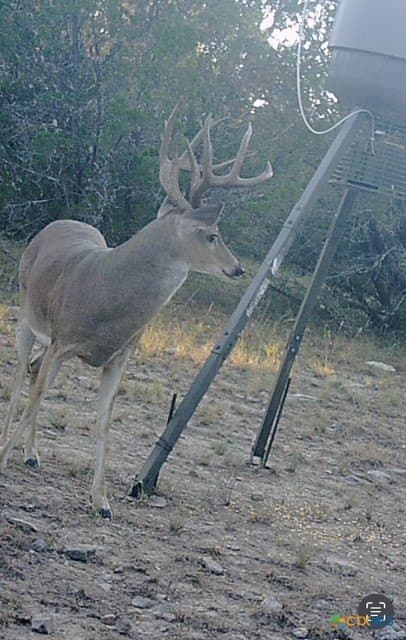 37.76 acres in Lampasas County gallery image 3
