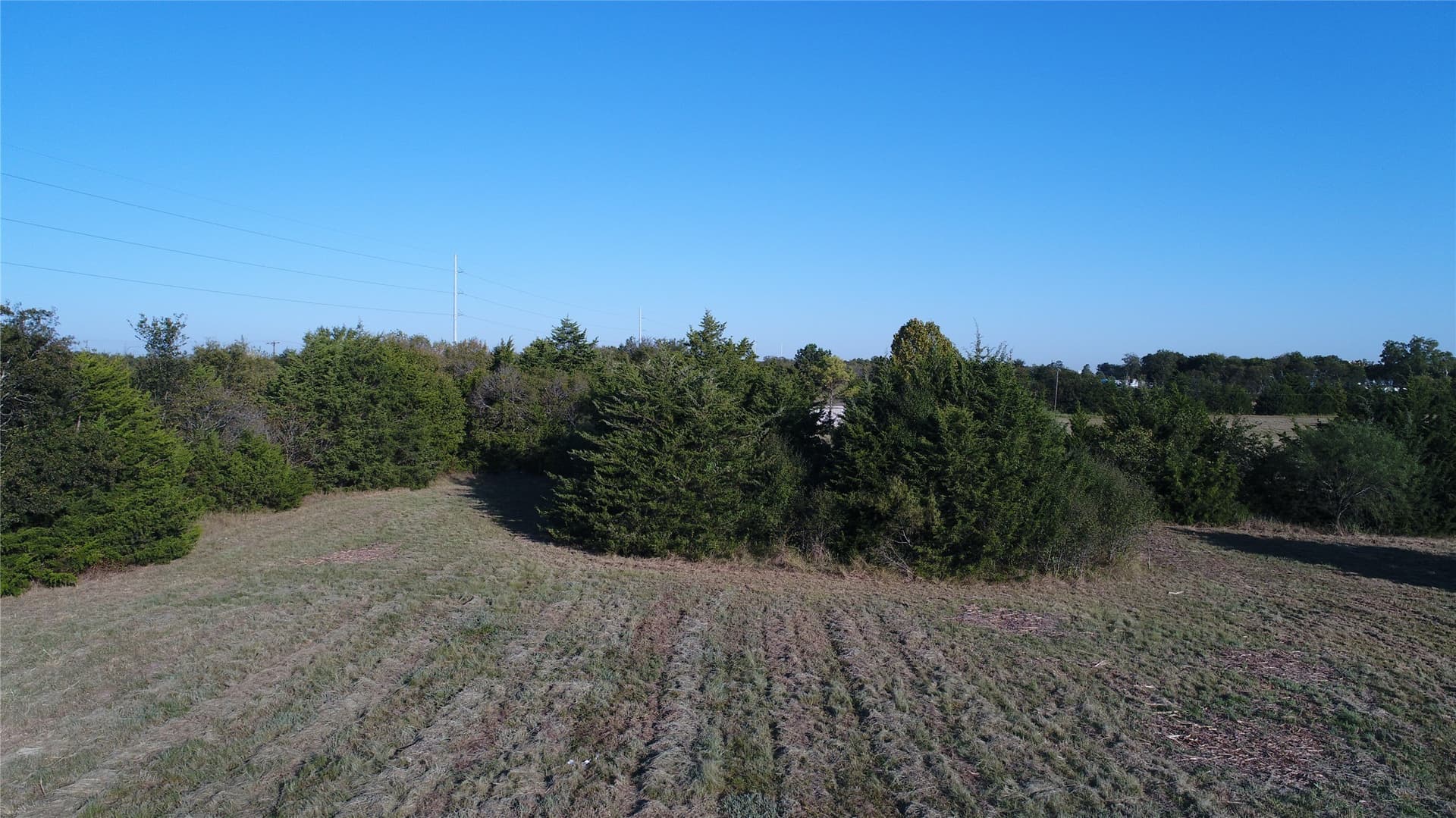 10.04 acres in Navarro County - photo 8