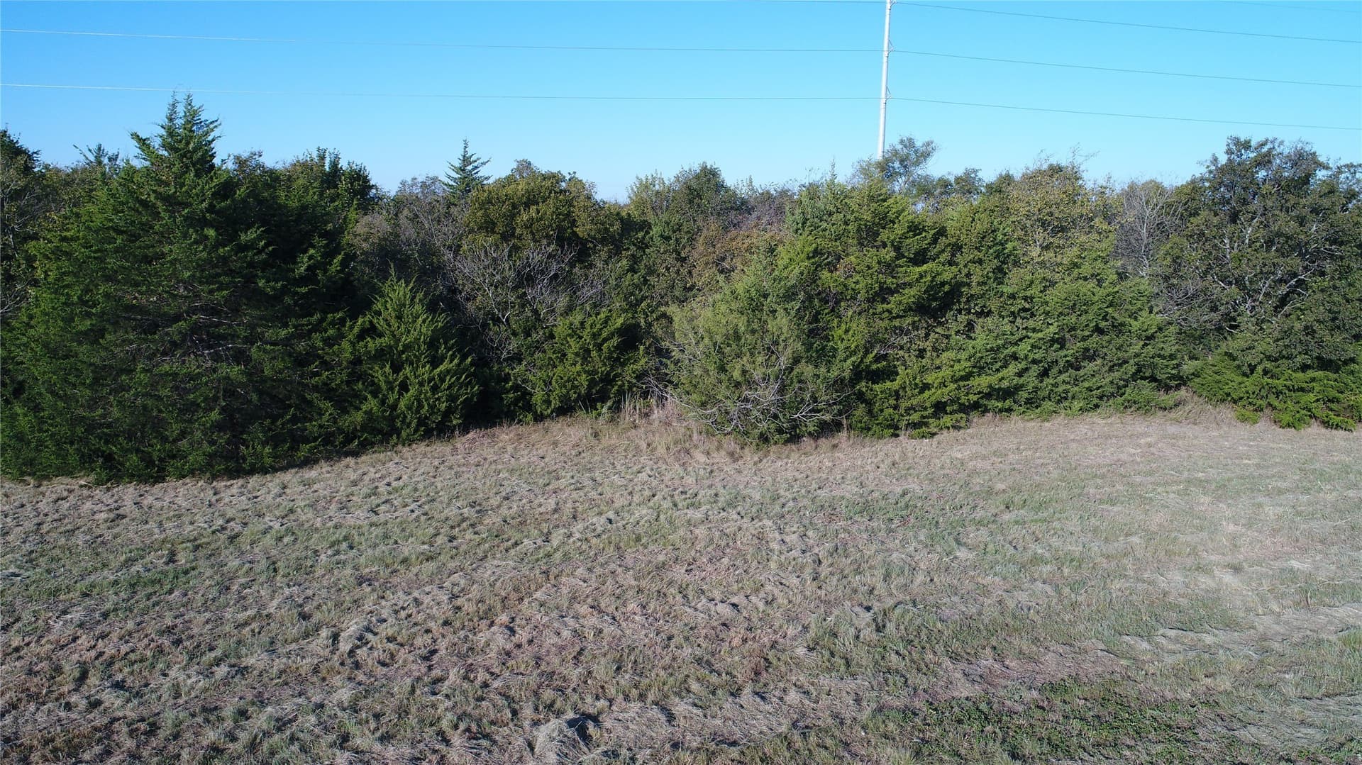 10.04 acres in Navarro County - photo 10