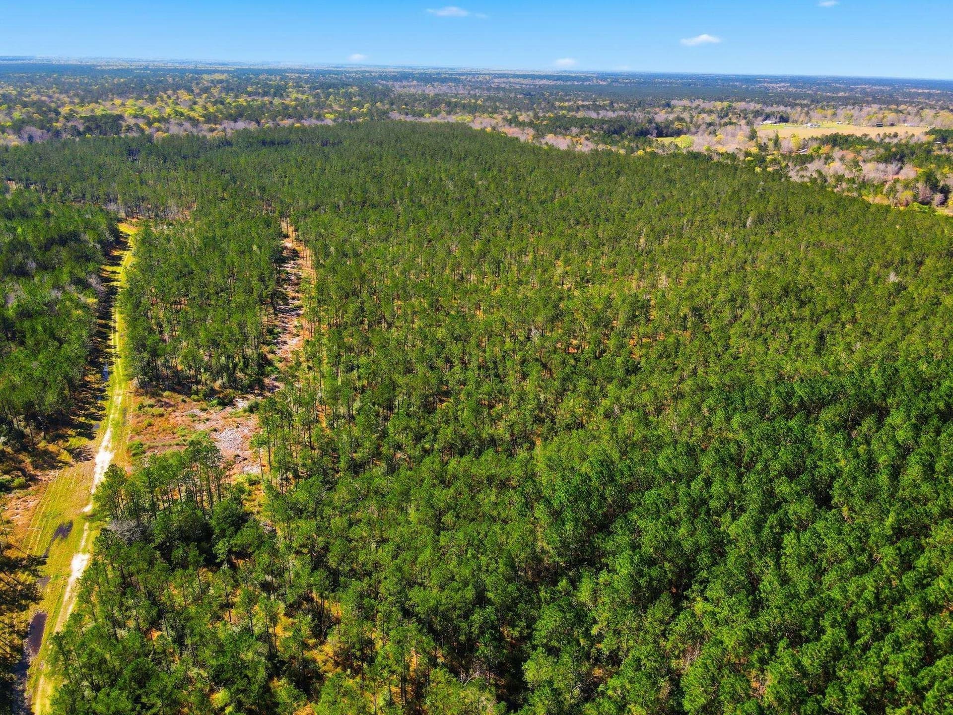 231.96 acres in Texas County featured view