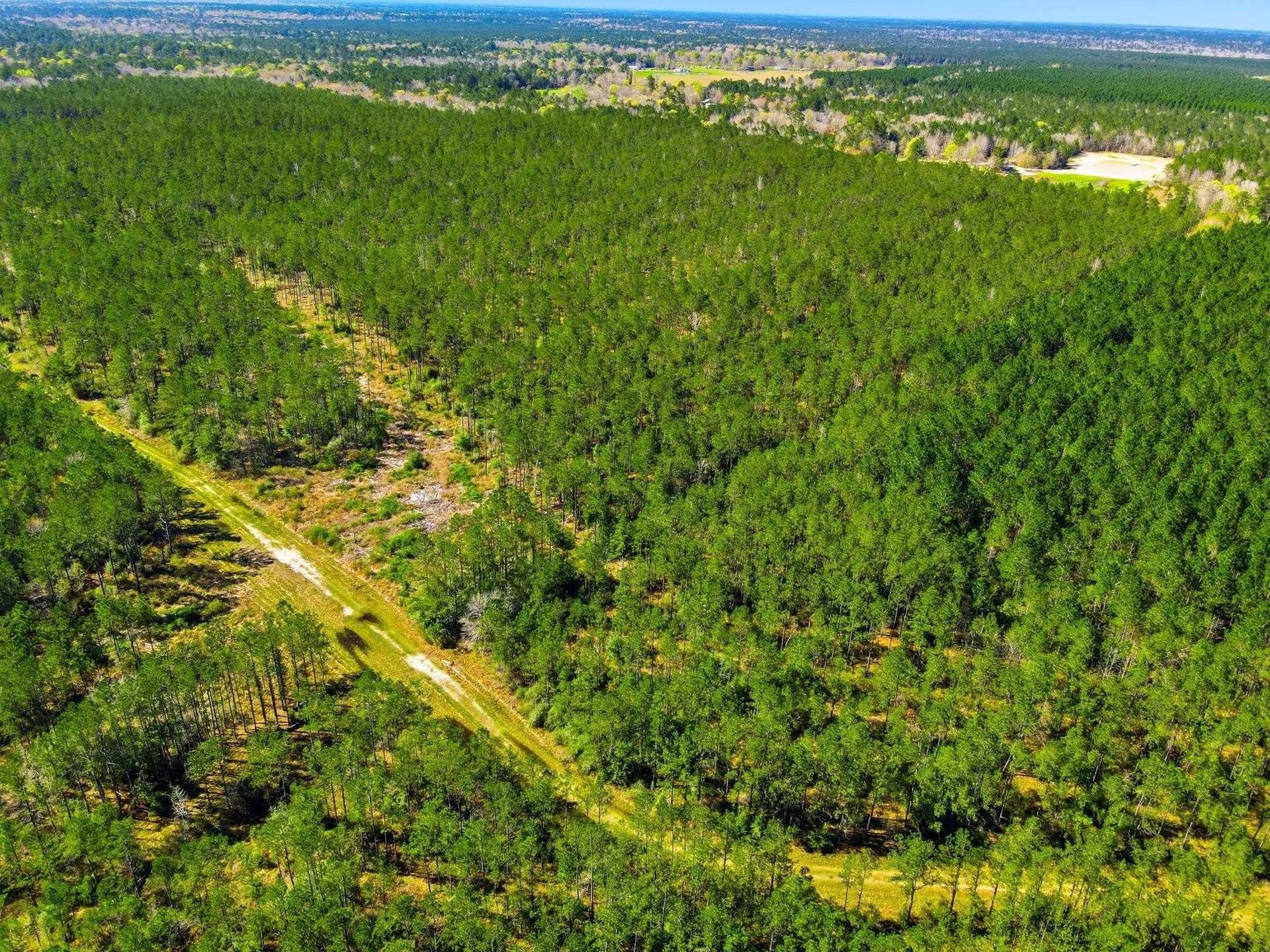 231.96 acres in Texas County gallery image 3