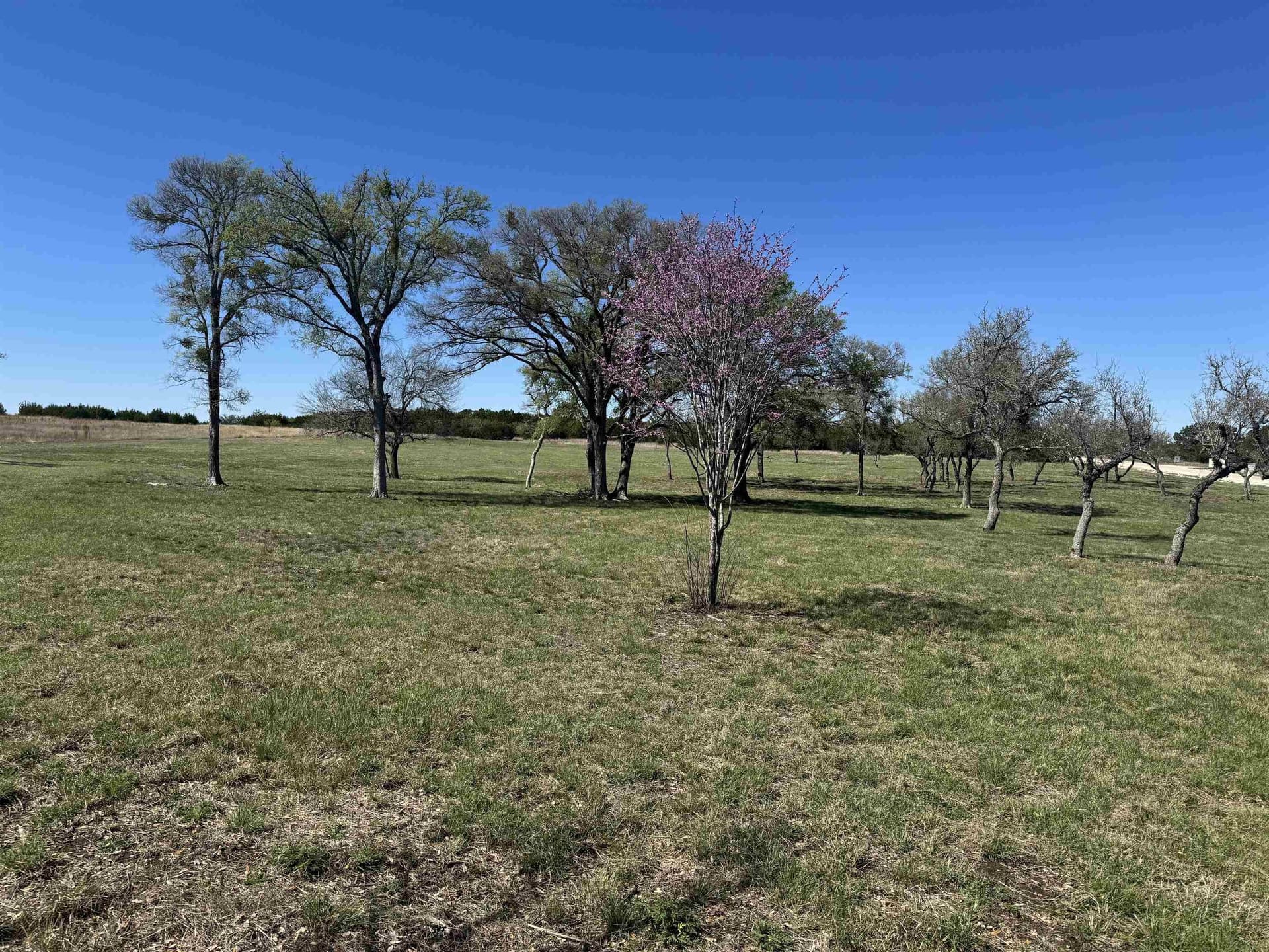 5 acres in Burnet County