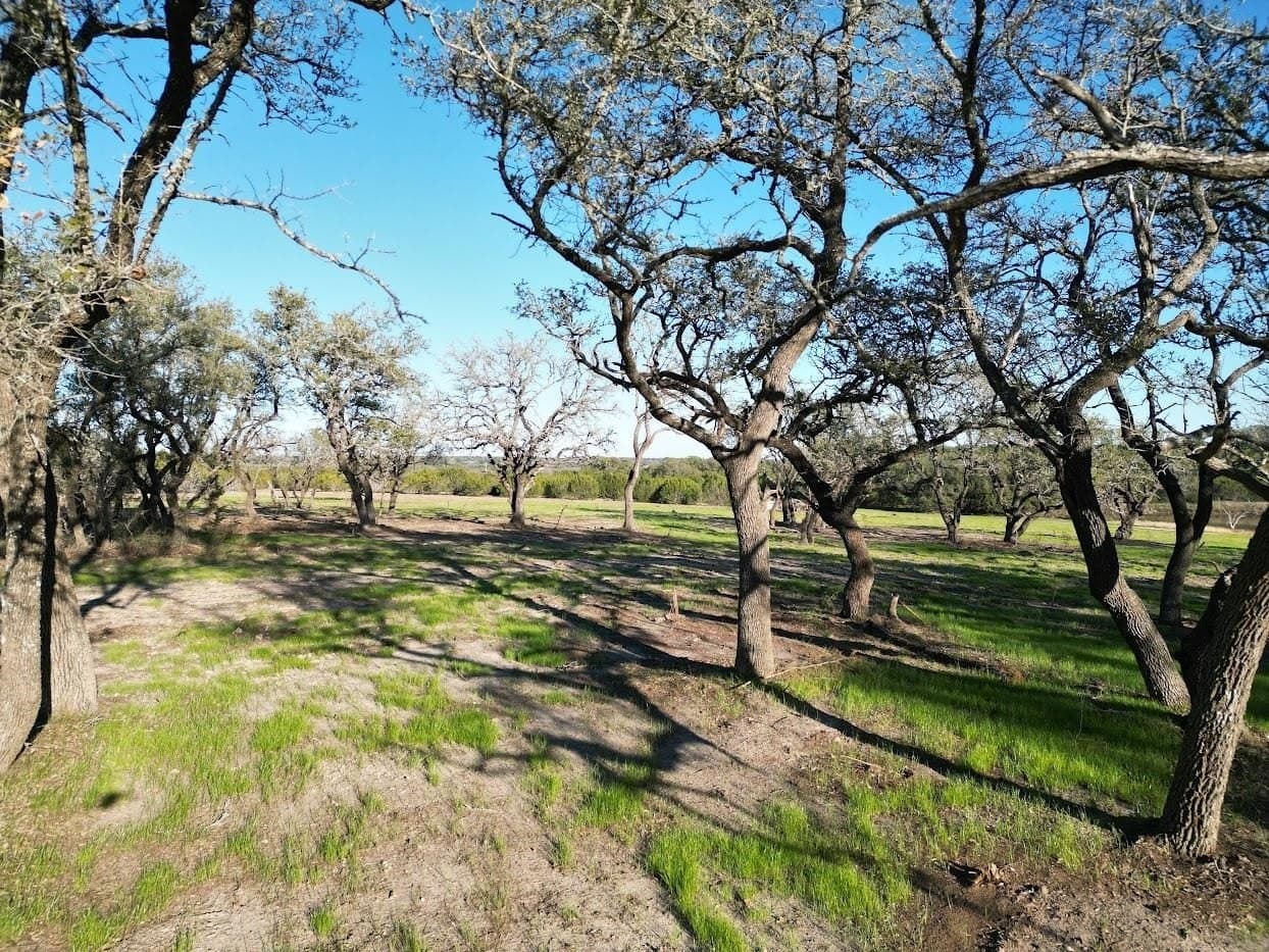 5 acres in Burnet County - photo 9