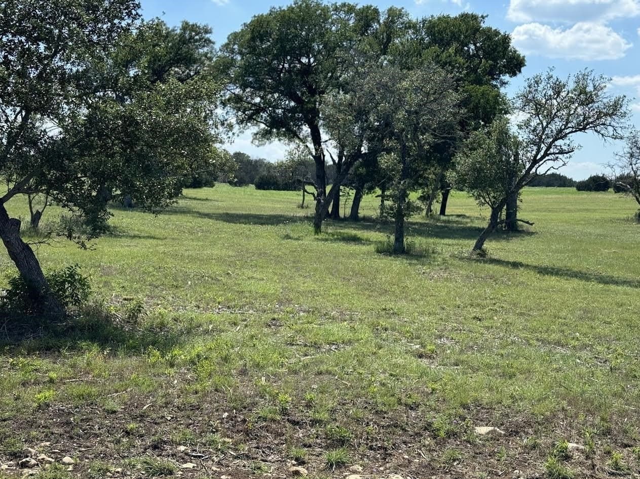5 acres in Burnet County - photo 8