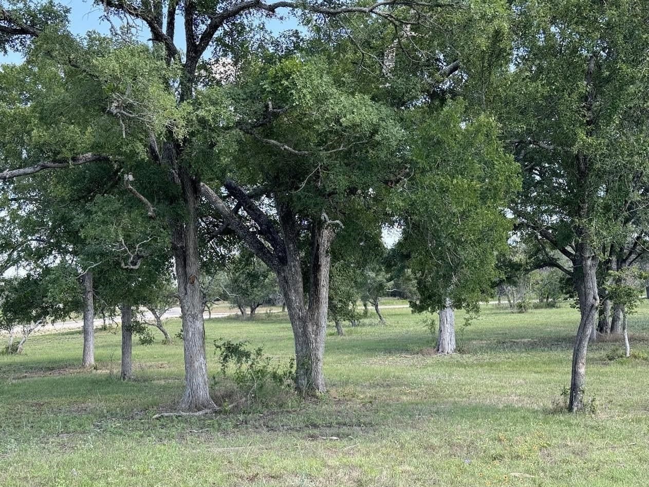 5 acres in Burnet County - photo 5