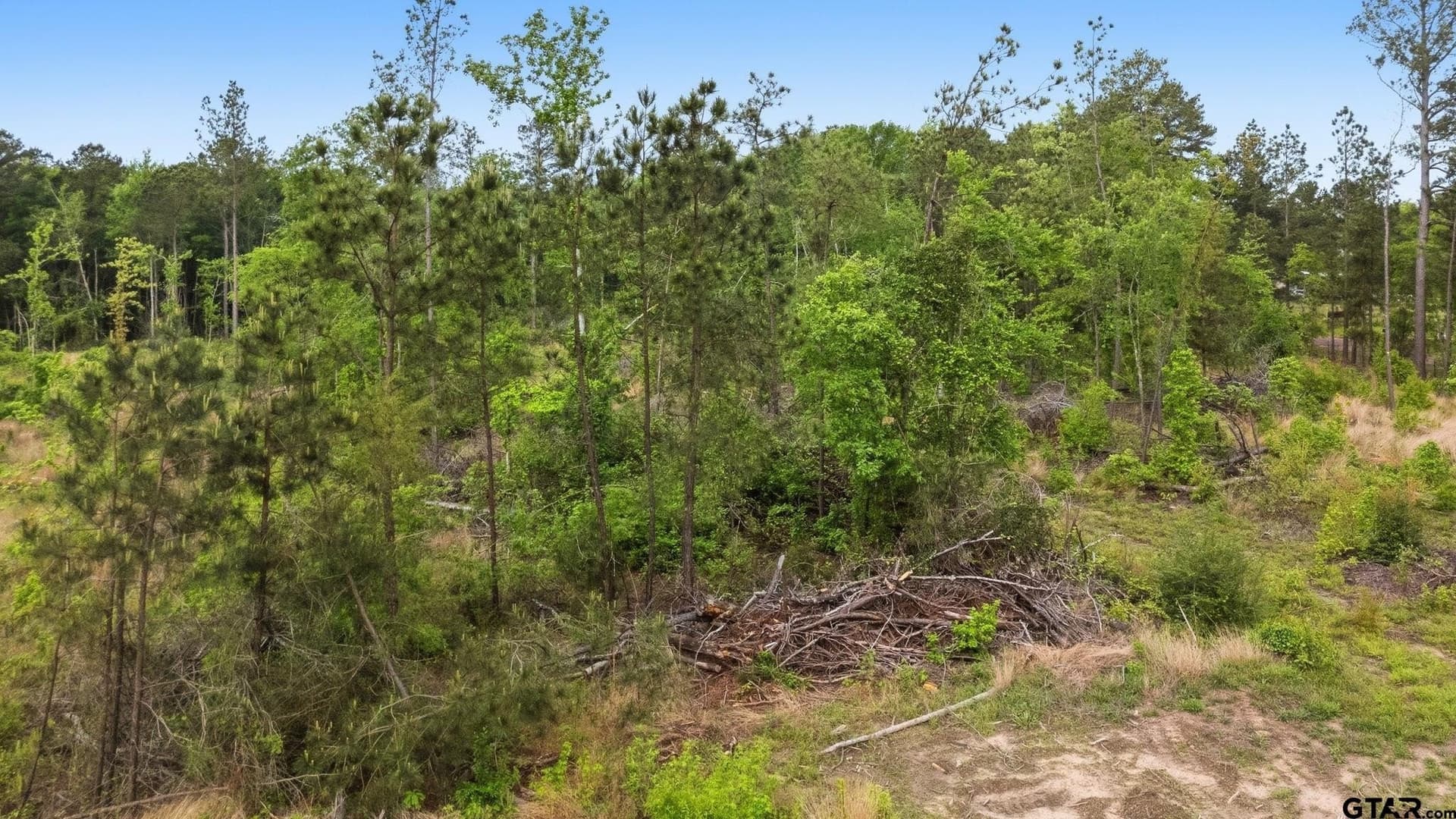 7.38 acres in Harrison County gallery image 3