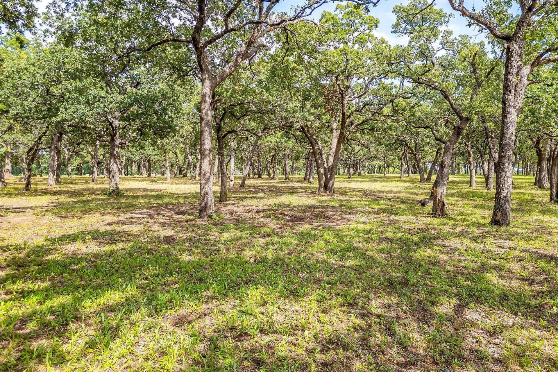 79.19 acres in Montague County - photo 36