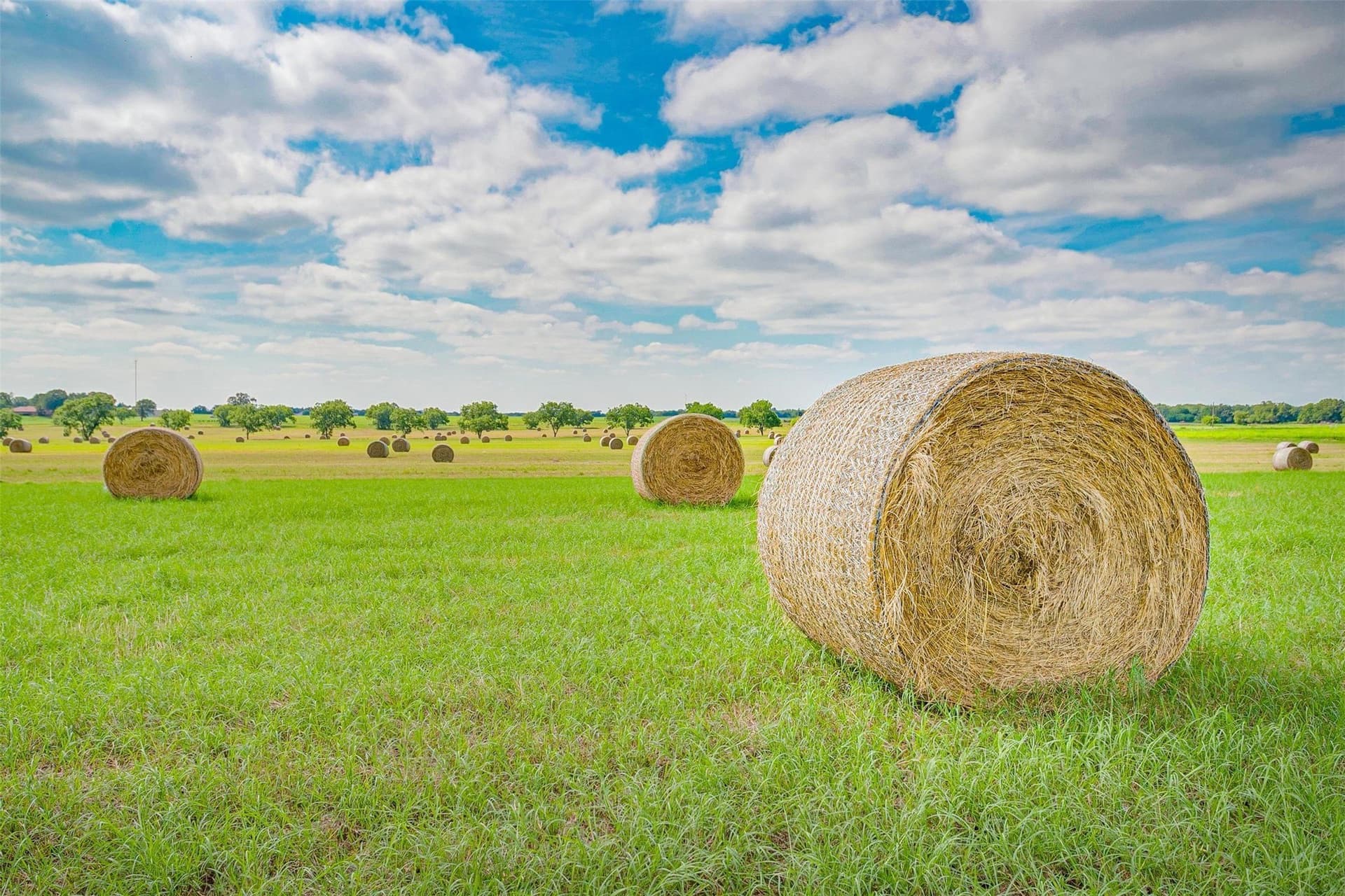 79.19 acres in Montague County - photo 39
